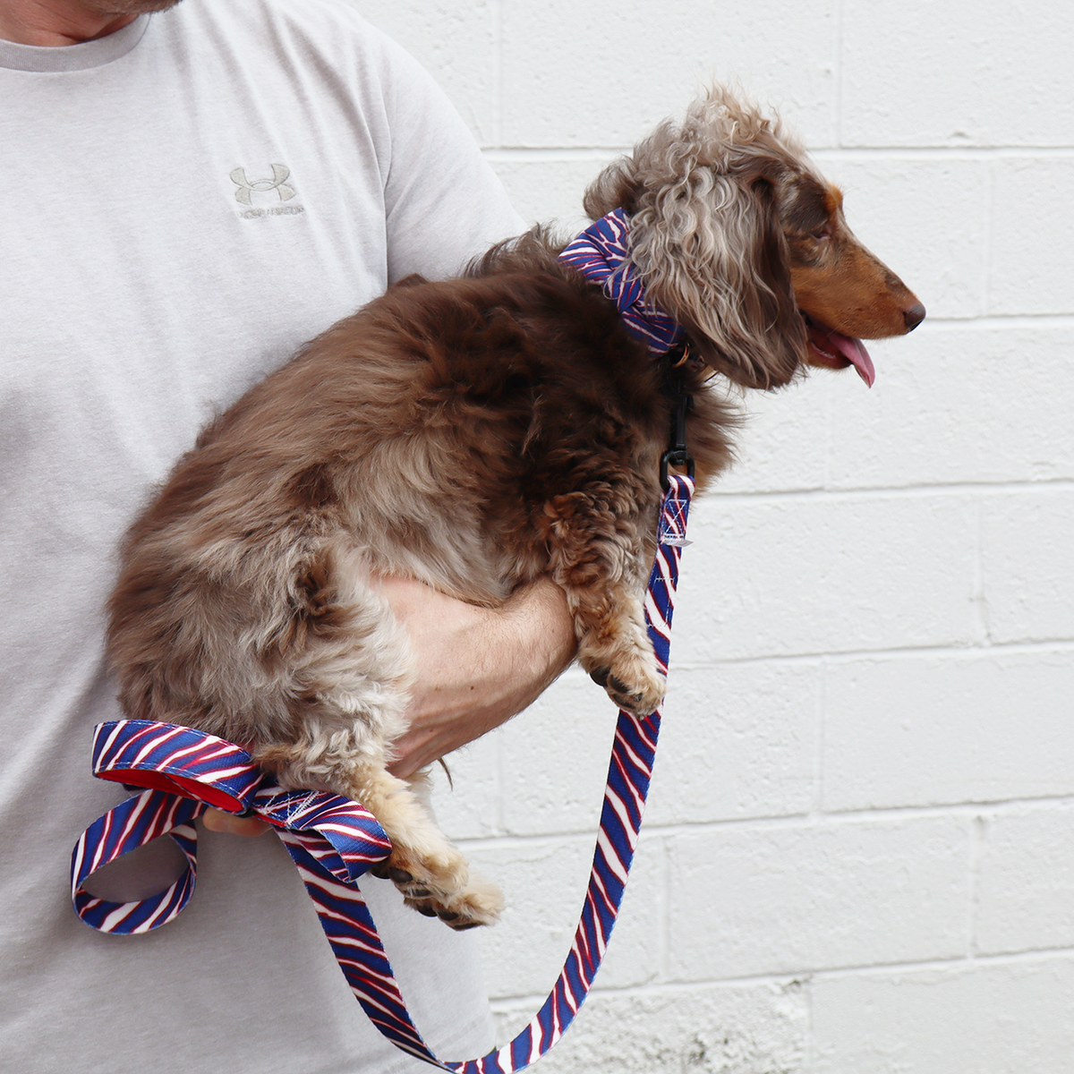 Game Day Dog Collar & Bow – Show Your Team Spirit